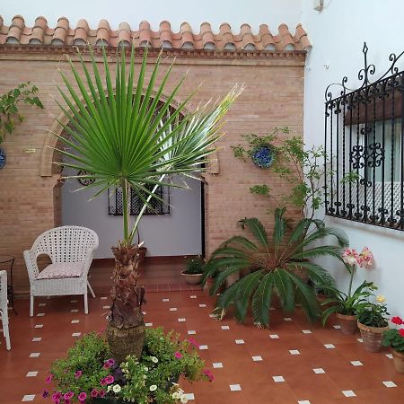 Hostal Andalucia チピオナ エクステリア 写真