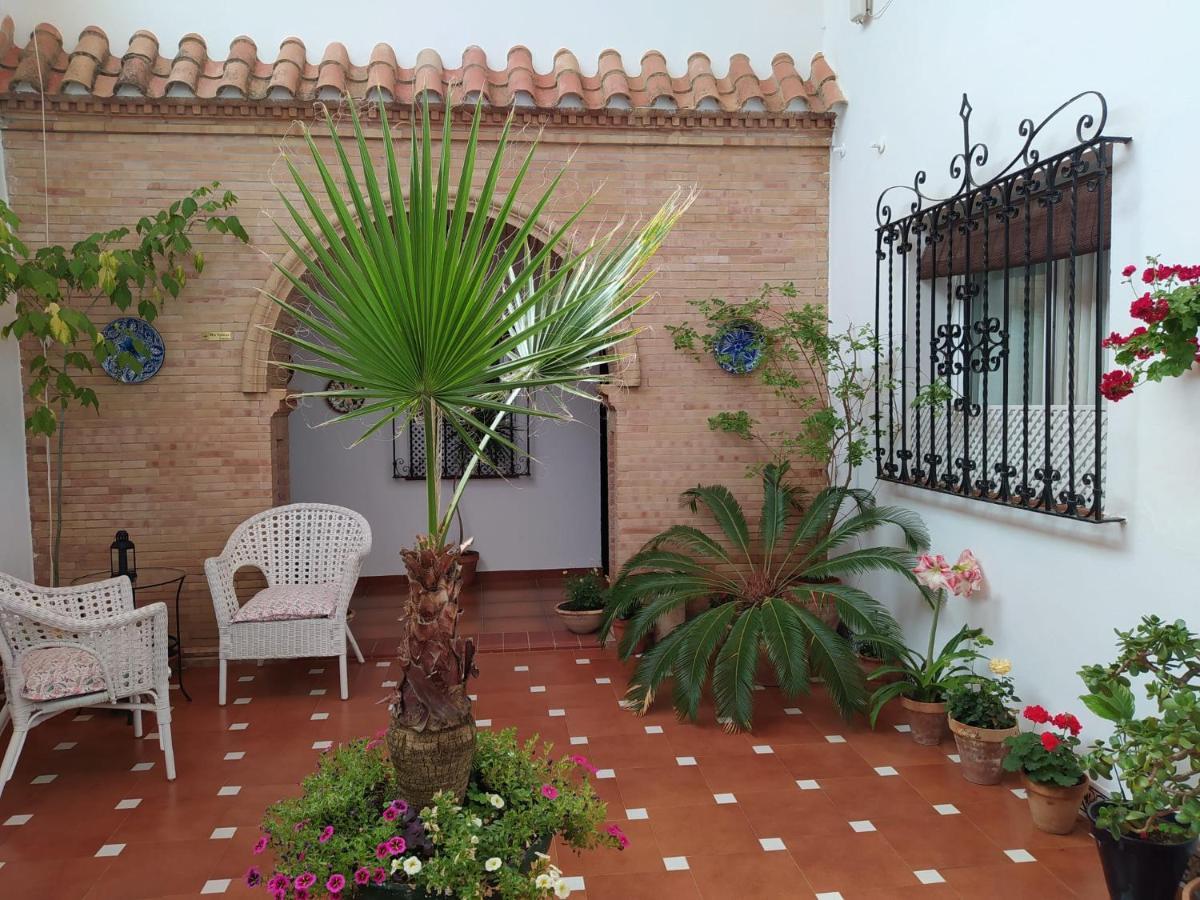 Hostal Andalucia チピオナ エクステリア 写真